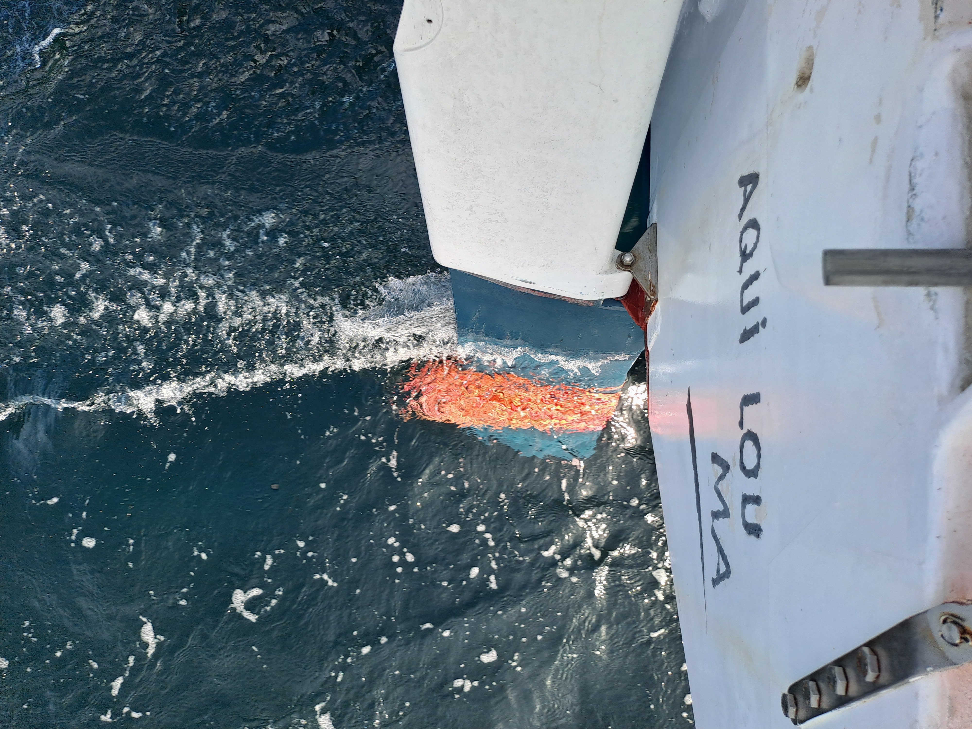 encore qqes bouts de cordages d’engin de pêche !